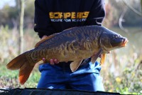 /album/elite-carp-131/a1-23-jpg/